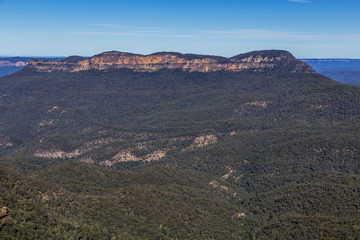 Fototapeta na wymiar Looking out at the endless trees in the blue mountains with the area specific blue haze