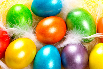 Multi colored easter eggs with bird feathers.