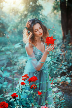 Princess enjoy sunny nature, silence harmony eyes closed, holds touch red rose. Hairstyle decorated leaves, loose hair. Fairy in long sexy airy blue dress with lace. Backdrop summer forest trees, bush