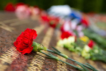 red flowers carnations on the granite store near the monument (russian text). May 9.