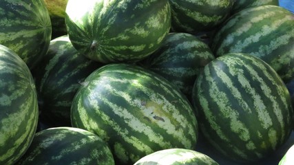 fruta
