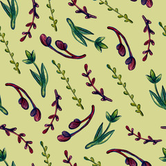 Set of watercolor drawing herbs, branches and flowers illustration. Floral botanical seamless pattern