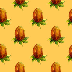 Set of watercolor drawing herbs, branches and flowers illustration. Floral botanical seamless pattern