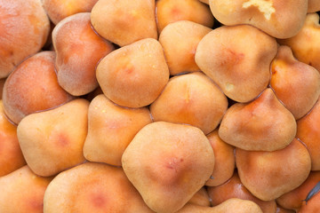 Hypoloma fasciculare creciendo en grupo apretado