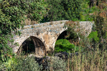 Fototapeta na wymiar Medieval stone bridge surrounded by greens