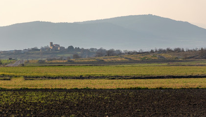 sunset over wheat field