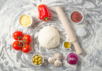 Obraz na płótnie Canvas Ingredients for making neapolitan pizza. Prepare Italian pizza raw dough 