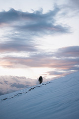 nieve