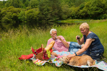 Elderly couple picnic outdoor