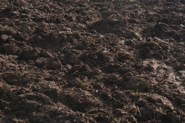 arable land and meadow at cold weather after new year