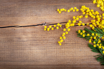 Beautiful spring yellow mimosa flowers with space for text on bright wooden background. Greeting card with bouquet. Spring beginning concept. Top view, flat lay