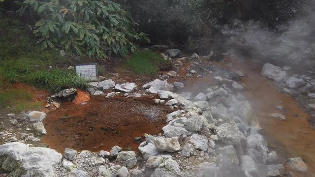 Boiling water and hot steam venting from Caldeira dos Vimes (wicker boiler) in Furnas, Sao Miguel island, Azores, Portugal