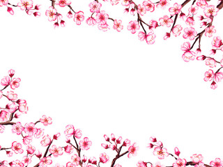 Naklejka na ściany i meble Watercolor floral sakura frame. Spring cherry blossom border, isolated on white.