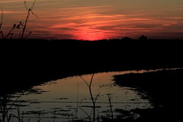 Sunset over a Pond out in the country in Kansas in a pasture.