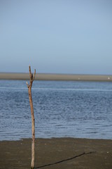 Wattenmeer