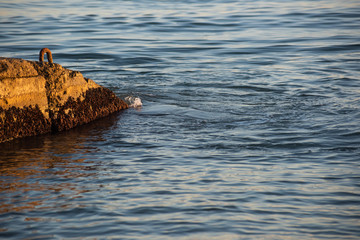 Water at the old stone pier