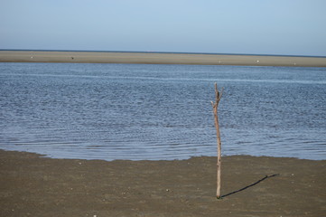 Wattenmeer