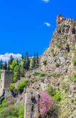 The ancient fortress of Narikala. View from the side of the National Botanical Garden. Georgia....