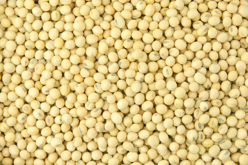 Soybean pattern as for background.