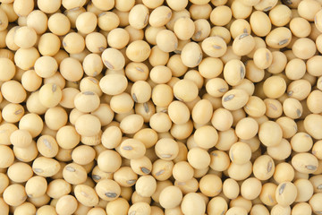Soybean pattern as for background.