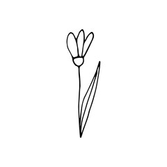 Cute single hand drawn flowers snowdrop. Spring blossom. Doodle vector illustration for wedding design, logo, greeting card and seasonal Easter design.