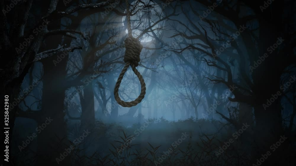 Wall mural noose swinging in a haunted forest 4k loop features a noose hanging from a tree moving in the breeze