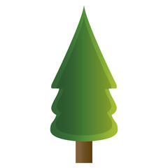 Isolated tree icon