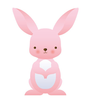 Cute rabbit cartoon vector design