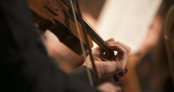 musician playing violin at concert
