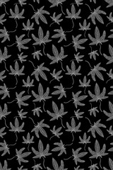 Fototapeta premium Abstract Grey and White Seamless Pattern with Medical Marijuana. Cannabis Plant Symbol with Leaves isolated on Black Background. Raster Illustration