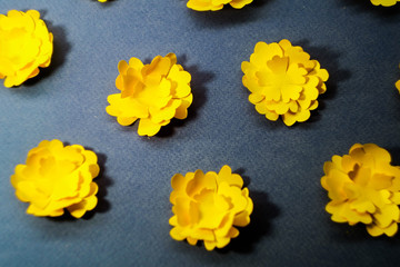 Yellow paper flowers texture on blue background. Floral pattern. Spring background 
