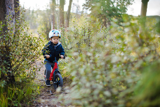 Toddler boy riding bike through dense forest.