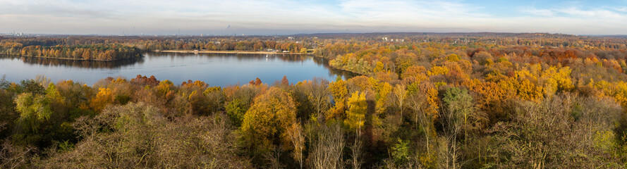 Colorful autumn trees in the Sechs-Seenplatte recreation area in Duisburg, North Rhine-Westphalia, Germany