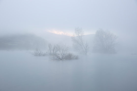 Trees and fog from aerial view