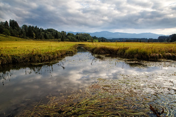Moor lake in the foothills that merges into a stream. The lean bog meadows are in the background...