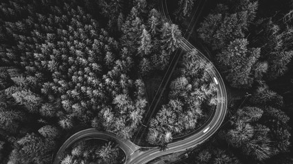 Modern Lines of the 21st Century