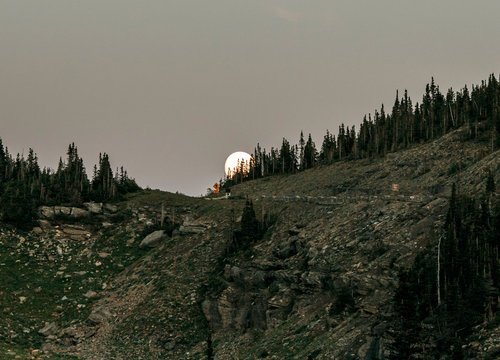 Moon rises over pine trees on Logan Pass, Glacier Park, Montana