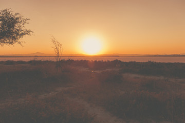 Obraz premium Nice sunset over dry salt lake in Cyprus Larnaca in summer with multilevel background