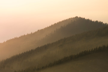 Fototapeta premium sunset over the pines in the basque country, spain