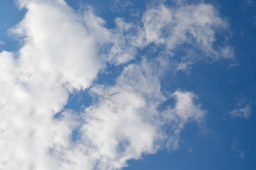 Obraz premium plane in the clouds against the blue sky.bottom view.journeys.tourism