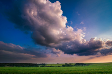 spring in the field