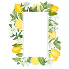 Vertical frame of hand drawn blooming lemon tree branches, flowers, lemons on white background - obrazy, fototapety, plakaty