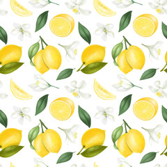 Seamless pattern with hand drawn lemons and lemon flowers on a white background