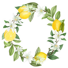Wreath of hand drawn blooming lemon tree branches, lemon flowers and lemons, isolated illustration on a white background © nastyasklyarova