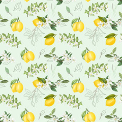 Seamless pattern with hand drawn blooming lemon tree branches on a blue background