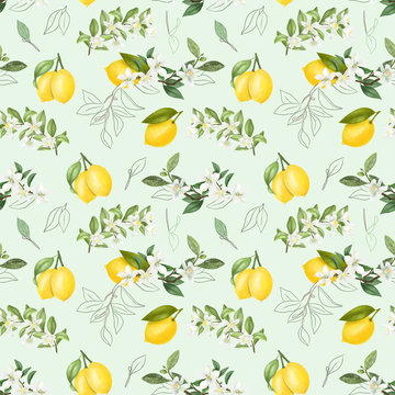 Seamless pattern with hand drawn blooming lemon tree branches on a blue background