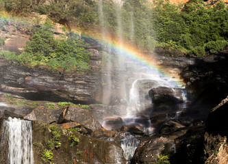 Fototapeta na wymiar Waterfall in the forest, Blue Mountains, Australia