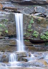 Waterfall in the forest, Blue Mountains, Australia