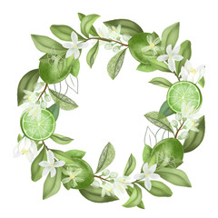 Wreath of hand drawn blooming lime tree branches and limes, isolated illustration on a white background