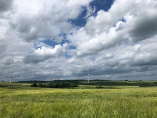 Fototapeta na wymiar Ein Feld vor der Ernte mit Hügeln und Winrad im Hintergrund in der Eifel bei Cochem unter blauem Himmel - bewölkt aber trocken